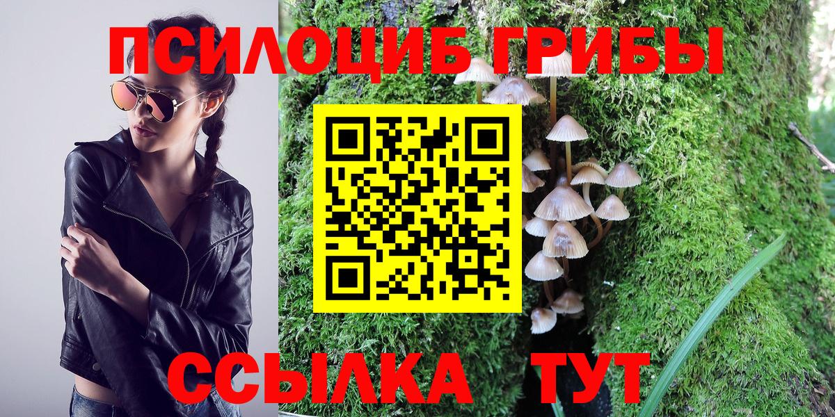Псилоцибиновые грибы прущие грибы Гай