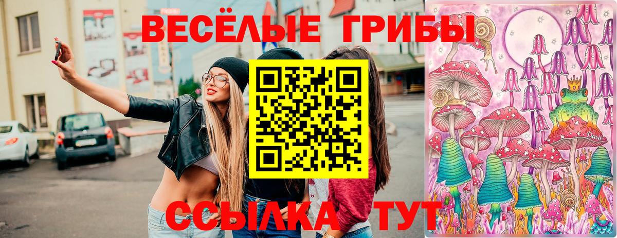 Галлюциногенные грибы MAGIC MUSHROOMS  Псилоцибиновые грибы Magic Shrooms  Гай  Вход с VPN 